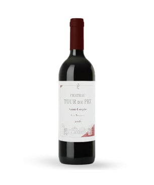 Château Tour de Pez 2006 Magnum