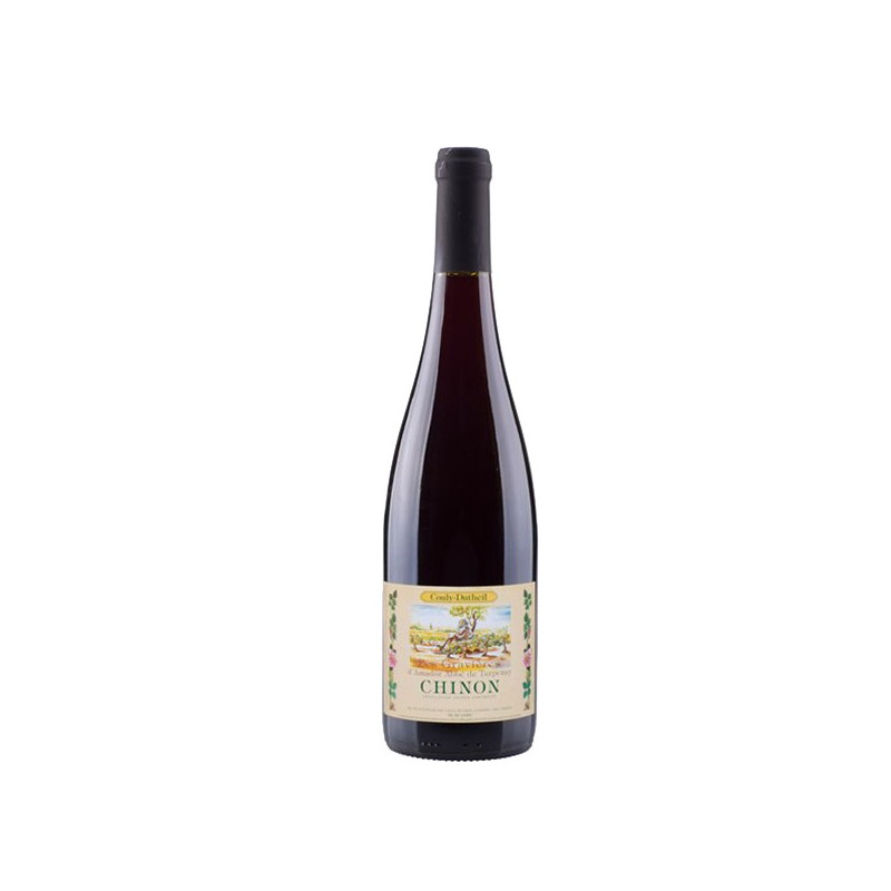 Couly Dutheil Chinon Les Gravières 2013 - Vin rouge de Chinon