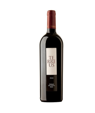 Bodegas Mauro Terreus 2010