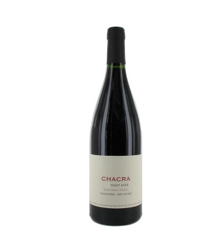 Bodega Chacra Cincuenta y Cinco 2009 - Vin rouge d'Argentine