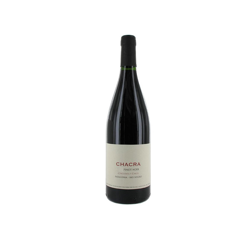 Bodega Chacra Cincuenta y Cinco 2009 - Vin rouge d'Argentine