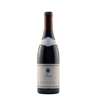 Pierre Gelin Fixin 2011 - vin rouge de Bourgogne