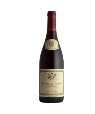 Louis Jadot Chambolle-Musigny Les Baudes 2011 - vin de Bourgogne