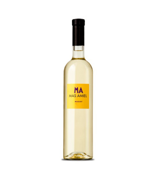 Mas Amiel Muscat de Rivesaltes 2013 - Vin blanc doux Muscat