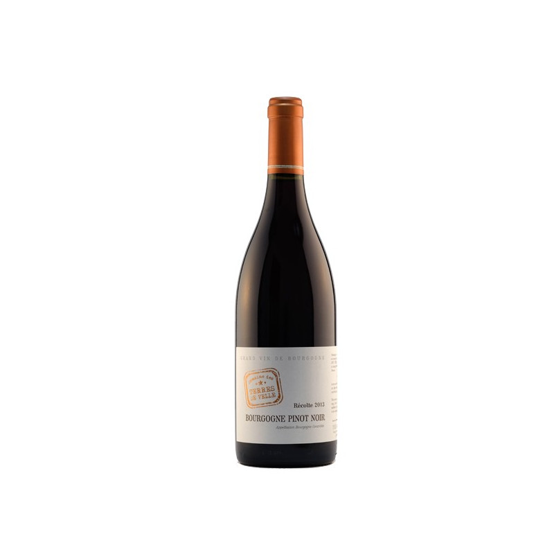 Domaine des Terres de Velle Bourgogne Pinot Noir 2013