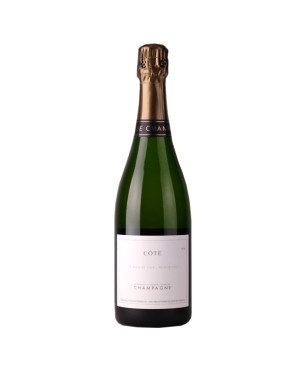 Maison Bérêche Champagne Premier Cru "Côte" 