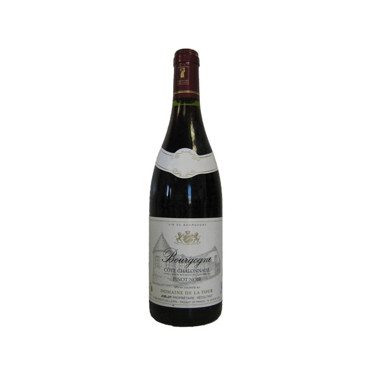 Domaine De La Tour Bourgogne Pinot Noir 1999 Domaine De La Tour Bourgogne Pinot Noir 1999