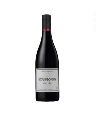 Domaine Decelle-Villa "Bourgogne Pinot Noir" 2014