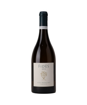 Eric Morgat - Savannières Fidès 2014