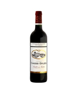 Château Chasse Spleen 2018 - Vin de Bordeaux 