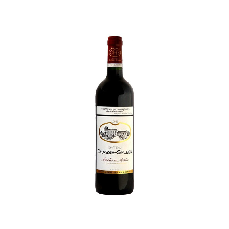 Château Chasse Spleen 2018 - Vin de Bordeaux 