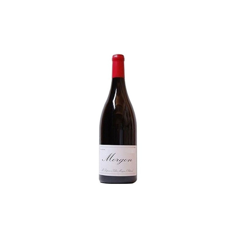 Morgon rouge bio 2019 - Domaine Marcel Lapierre - magnum Morgon rouge bio 2019 - Domaine Marcel Lapierre - magnum