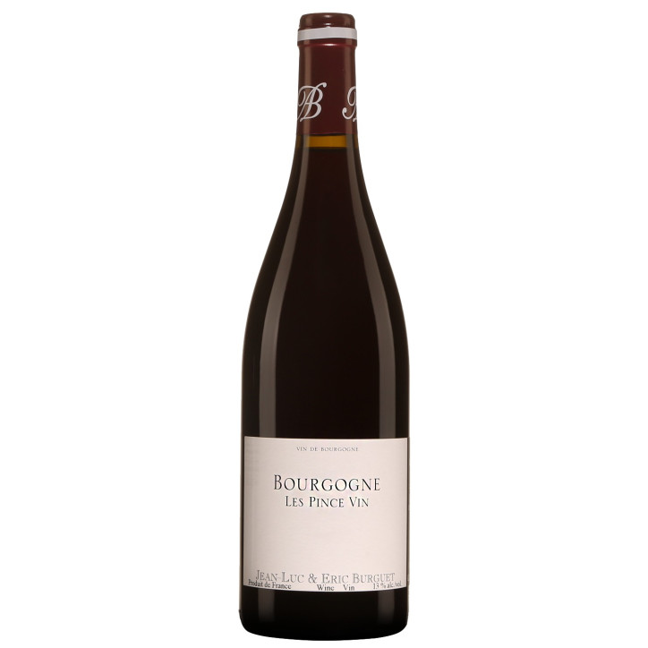 Domaine Jean Luc et Eric Burguet Bourgogne Pinot Noir Les Pince Vin 2018