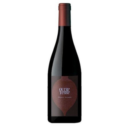 Roches Neuves Saumur Champigny Outre terre 2019 - vin de Loire|Vin Malin