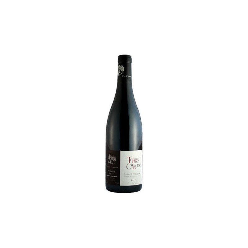 Roches Neuves Saumur Champigny Terres Chaudes 2019 - vin Loire|Vin Malin