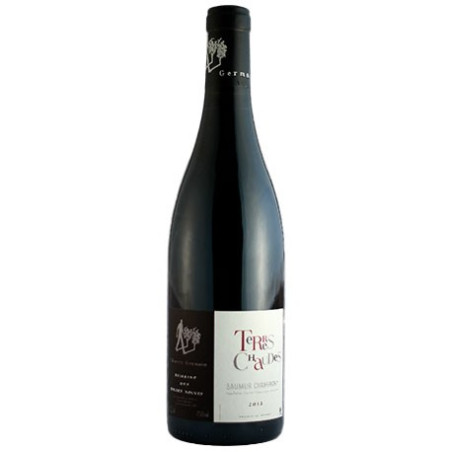 Roches Neuves Saumur Champigny Terres Chaudes 2019 - vin Loire|Vin Malin