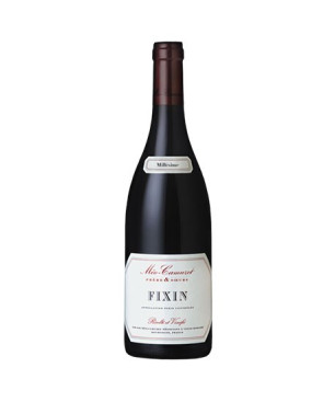 Domaine Méo-Camuzet Fixin 2016 chez vin Malin