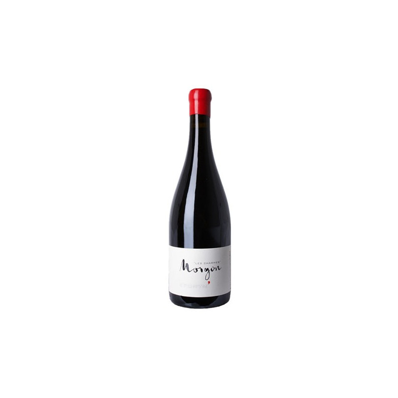 Morgon Eponym 2019 - Domaine Jean Foillard