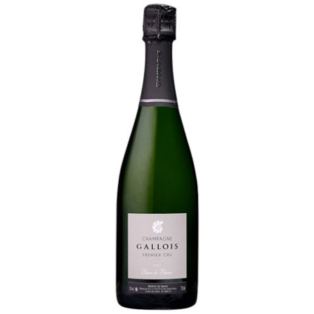 Champagne Blanc de Blancs Premier Cru - Serge Gallois Magnum|Vin-malin