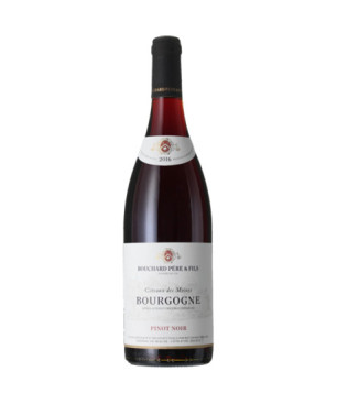 Bourgogne Pinot Noir Coteaux des Moines 2016 - Bouchard Père & Fils 