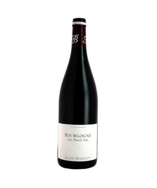 Bourgogne Pinot Noir Les Pince Vin 2017 - Domaine Alain Burguet