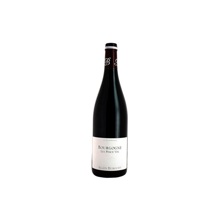 Domaine Alain Burguet Bourgogne Pinot Noir Les Pince Vin 2017