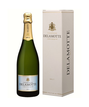 Champagne Brut - Delamotte