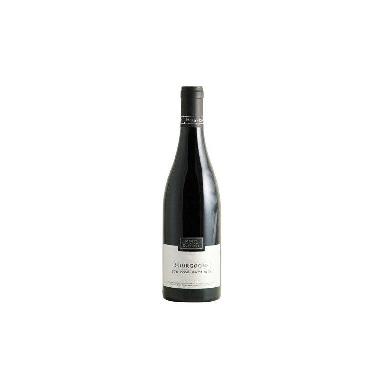 Morey-Coffinet Bourgogne Pinot Noir Côte d'Or 2019|Vins de Bourgogne