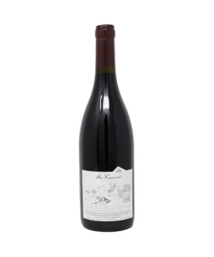 Gevrey-Chambertin 2017 - Méo-Camuzet Frère & Sœurs