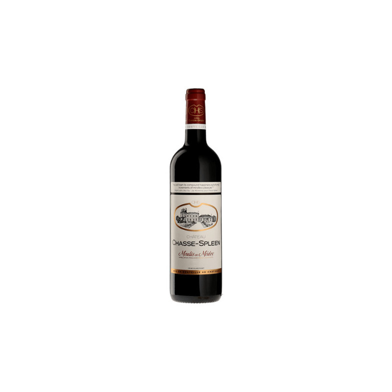 Chasse-Spleen 2020 - Vin rouge - Grand Vin de Bordeaux |Vin-malin.fr