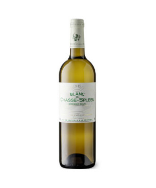 Blanc de Chasse-Spleen 2020 - Grand vin blanc de bordeaux Vin-malin.fr