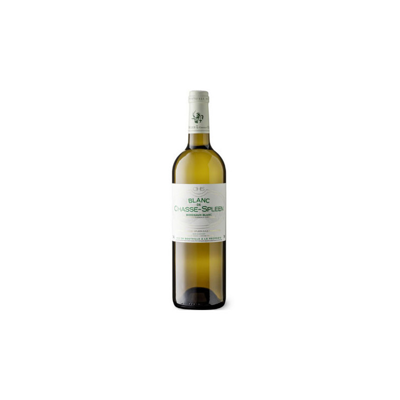 Blanc de Chasse-Spleen 2020 - Grand vin blanc de bordeaux Vin-malin.fr