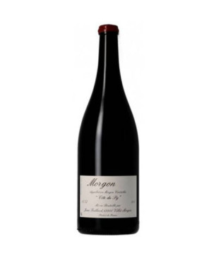 Morgon Cote Du Py du Domaine Jean Foillard - Vin du Beaujolais
