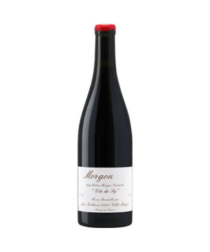 Morgon Cote Du Py du Domaine Jean Foillard - Vin du Beaujolais