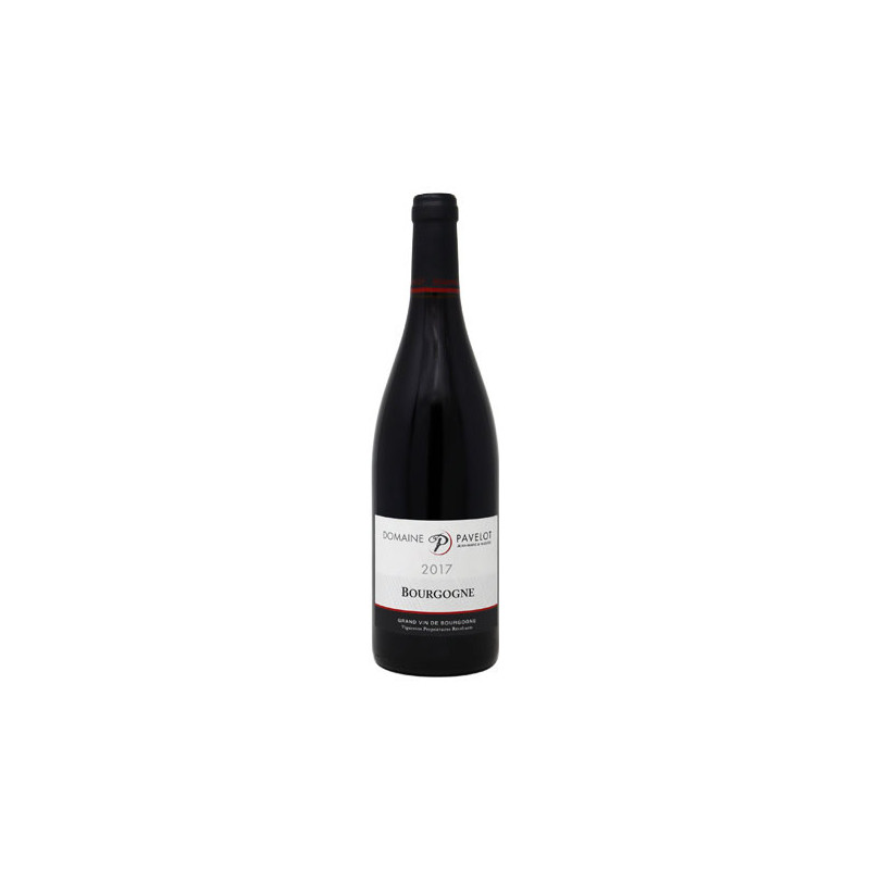 Bourgogne Pinot Noir 2017 - Domaine Jean Marc et Hugues Pavelot