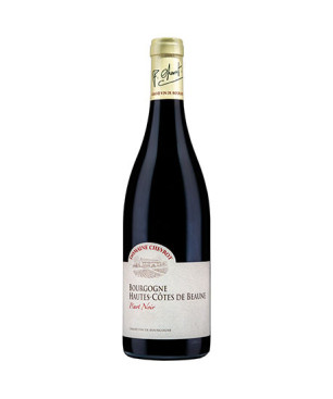 Bourgogne Hautes Côtes de Beaune rouge 2019 - Domaine Chevrot