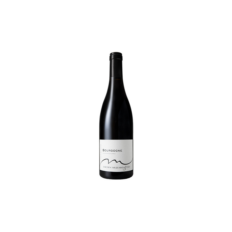 Bourgogne Pinot Noir 2019 - Domaine Lucien Muzard - Vins de Bourgogne