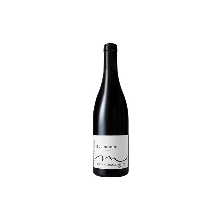 Lucien Muzard & Fils Bourgogne Pinot Noir 2019