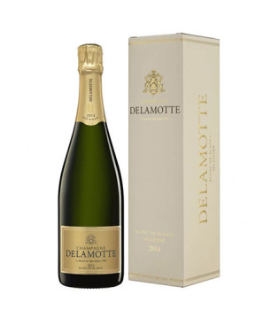 Blanc de Blancs Millésime 2014 - Champagne Delamotte