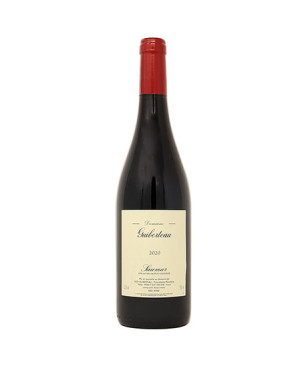 Saumur rouge 2020 - Domaine Guiberteau