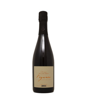 Champagne "L'Égarée" Zéro Dosage 2014 - Pierre Brocard