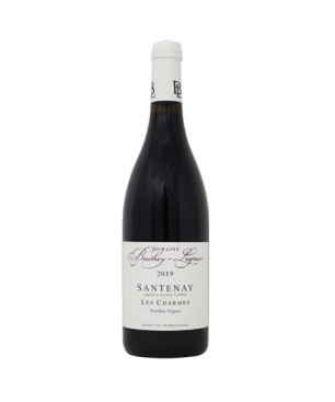 Santenay Les Charmes Vieilles Vignes 2019 - Domaine Bachey-Legros