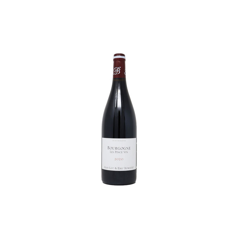 Domaine Jean-Luc Eric Burguet Bourgogne Pinot Noir Les Pince Vin 2020