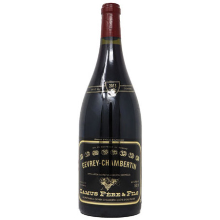 Gevrey-Chambertin 2013 en magnum - Camus Père & Fils - Vin de Bourgogne