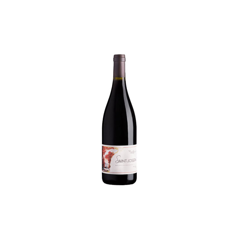 Domaine Pierre Gaillard Saint-Joseph Rouge 2020 - Vin de la Vallée du Rhône