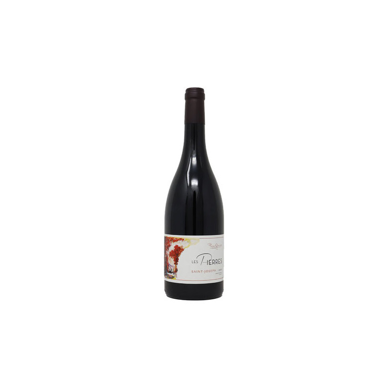 Domaine Pierre Gaillard Saint-Joseph "Les Pierres" 2020 - Vin du Rhône