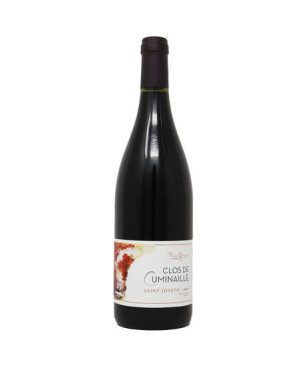 Domaine Pierre Gaillard Saint-Joseph Clos de Cuminaille 2020 - Vin du Rhône
