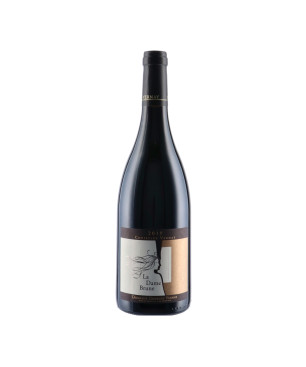 Domaine Vernay - Saint Joseph La Dame Brune 2019 - Grands vins du Rhône