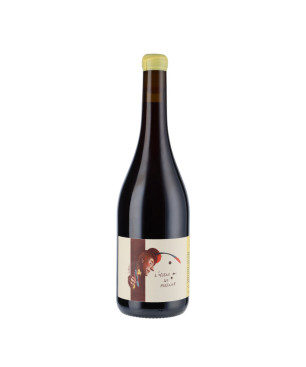 L'oiseau de Passage Morgon 2020 - Julien Frappa - Vin du Beaujolais