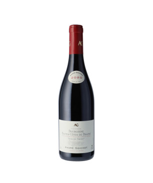 Bourgogne Hautes Côtes de Beaune "Domaine Trenet" rouge 2020 - Goichot